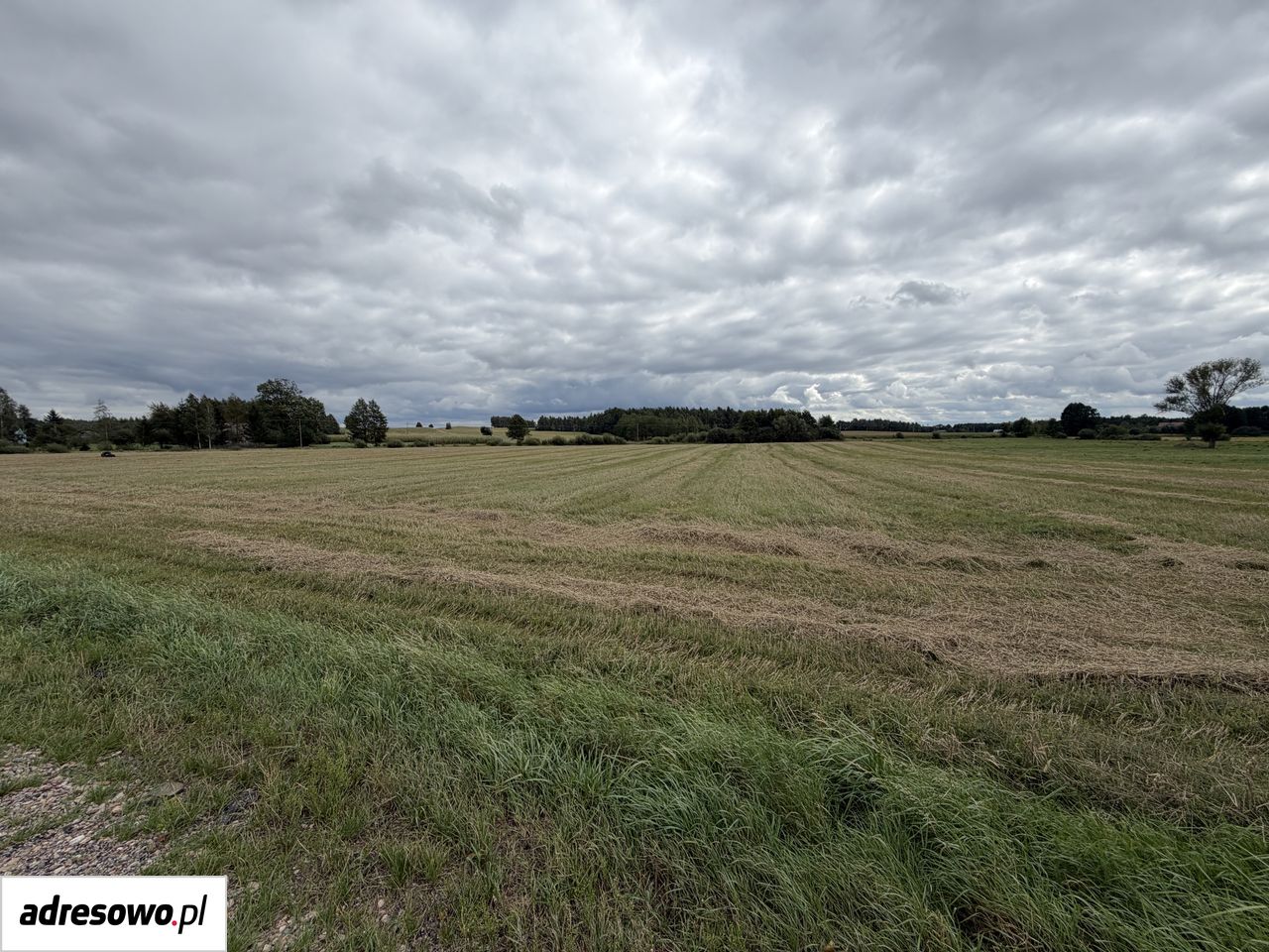 Działka inwestycyjna Józefowo. Zdjęcie 9