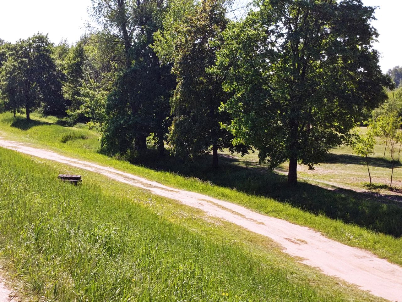 Działka rekreacyjna Wieliszew, ul. Willowa