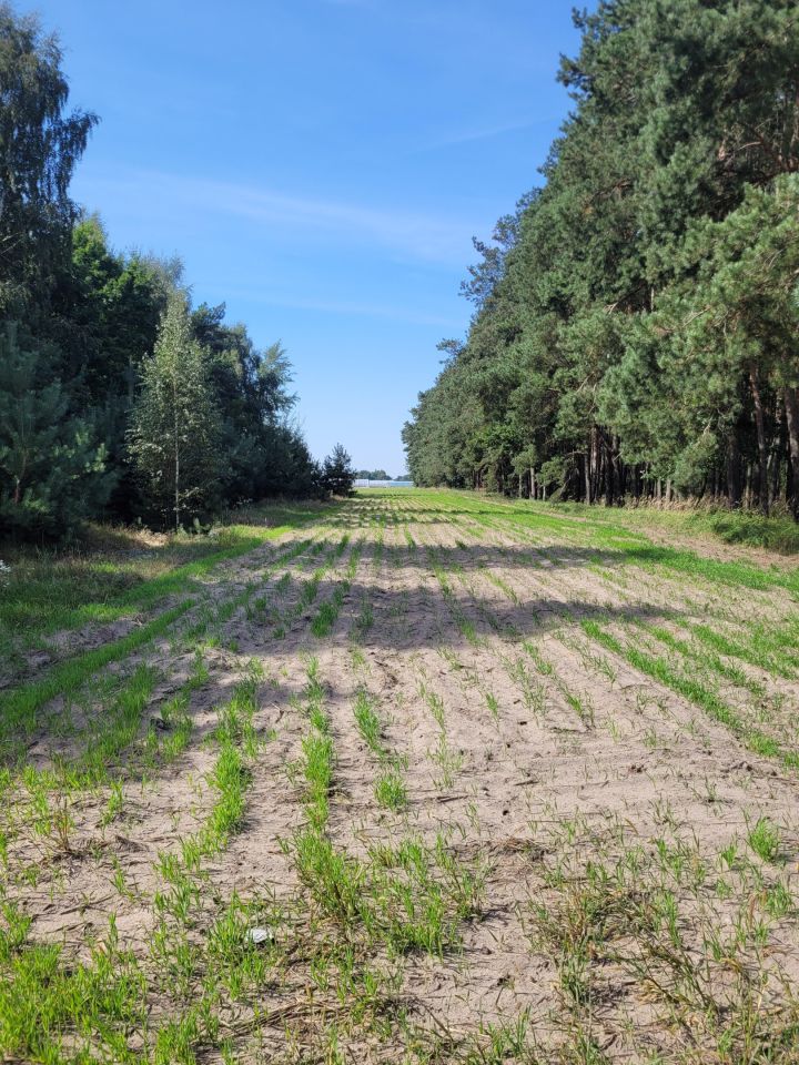 Działka rolna Stary Kobylnik. Zdjęcie 5