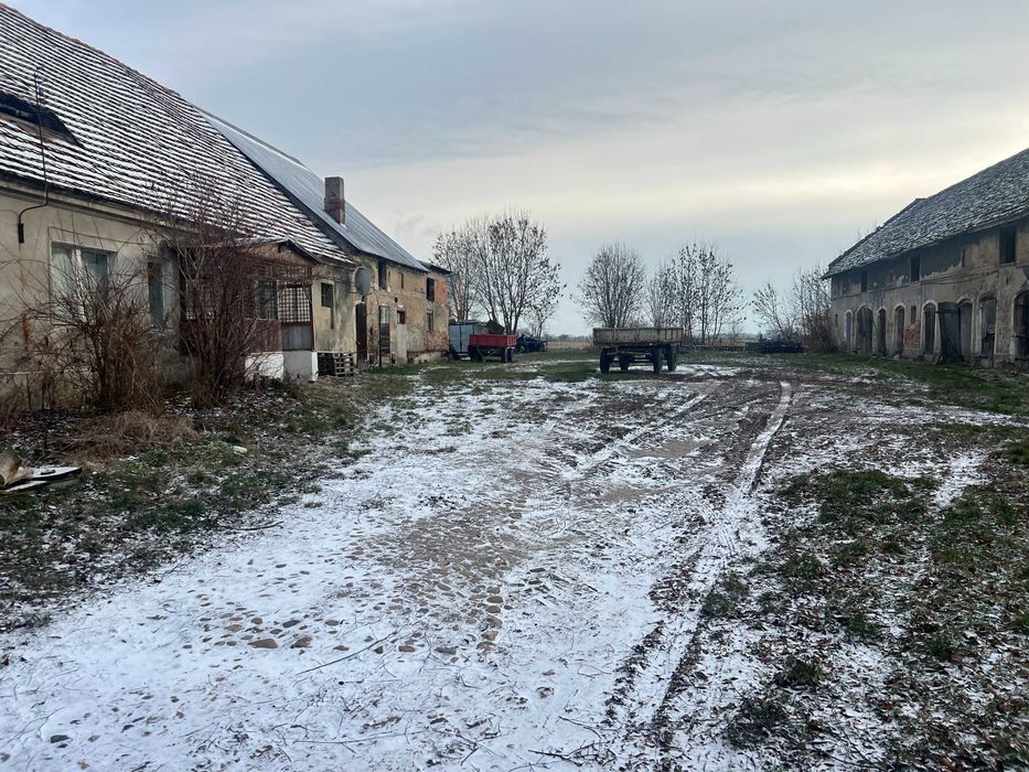 Działka rolno-budowlana Jenkowice. Zdjęcie 2