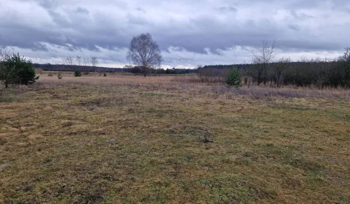 Działka budowlana Ognica