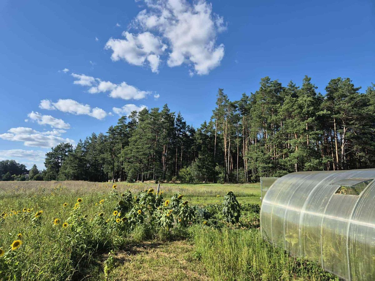 Działka rekreacyjna Golanka. Zdjęcie 5