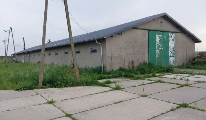 Hala/magazyn Brzeziczki