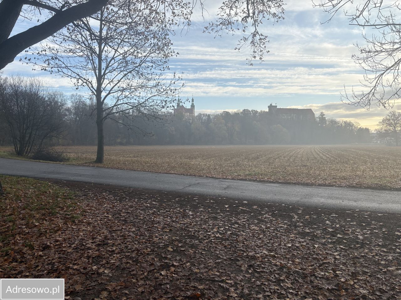 Działka budowlana Otmuchów, ul. Lipowa. Zdjęcie 2