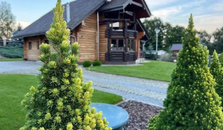 dom wolnostojący Bożnów