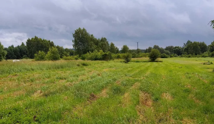 Działka budowlana Łazy, ul. Janusza Korczaka