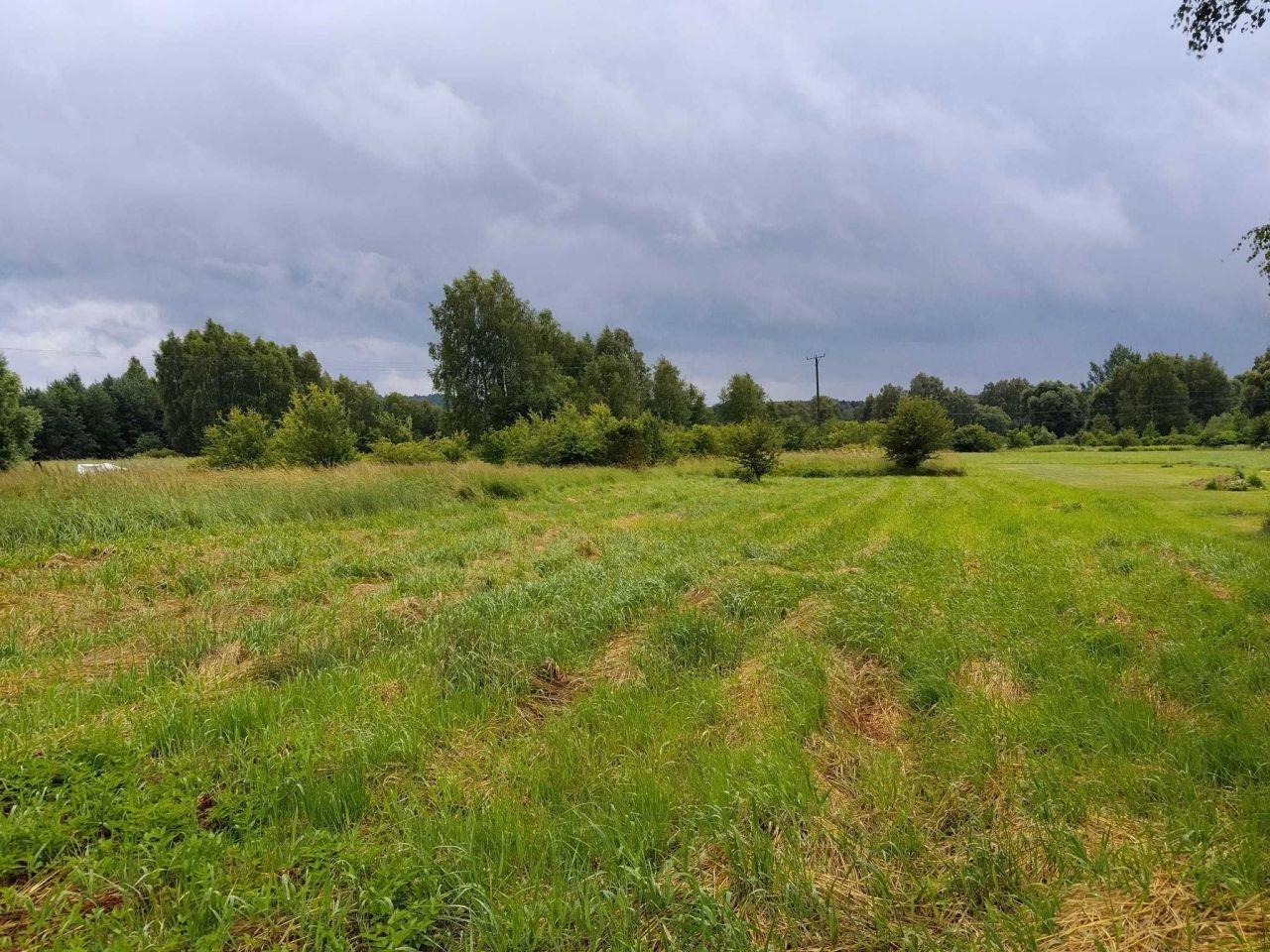 Działka budowlana Łazy, ul. Janusza Korczaka. Zdjęcie 1