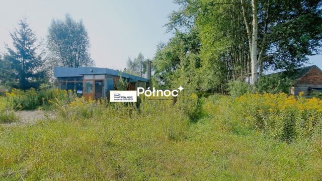 Lokal Pasternik. Zdjęcie 4