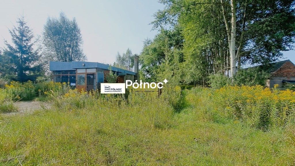 Lokal Pasternik. Zdjęcie 4