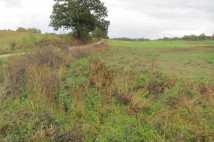 Działka budowlana Gościno. Zdjęcie 2