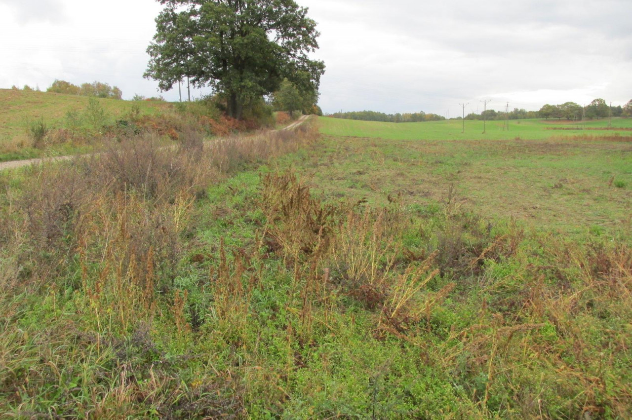 Działka budowlana Gościno. Zdjęcie 3