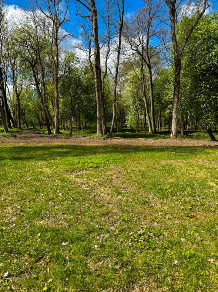 Działka budowlana Chełchy. Zdjęcie 6