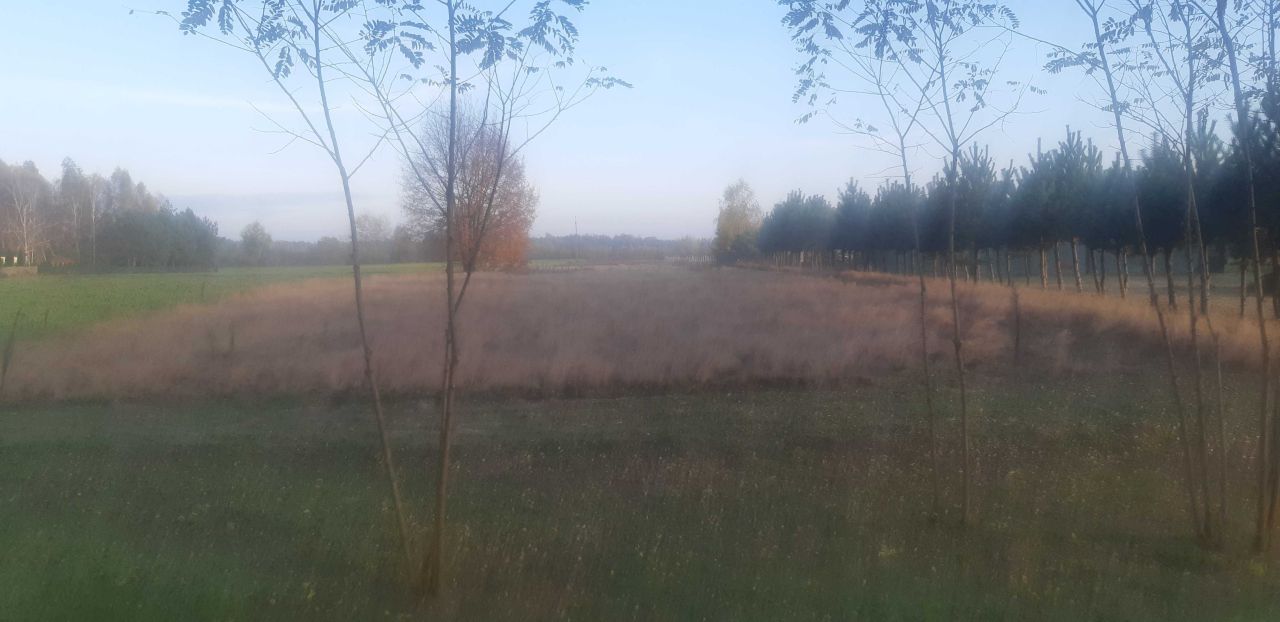 Działka rolna Słubice. Zdjęcie 7