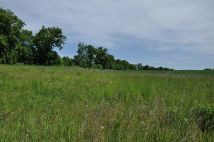 Działka budowlana Godziszewo, ul. Nad Jeziorem. Zdjęcie 4