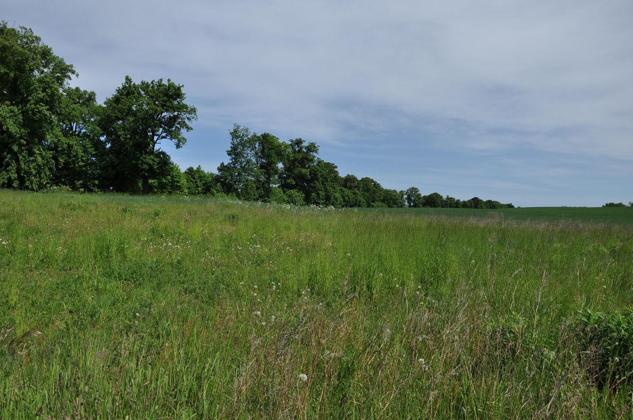 Działka budowlana Godziszewo, ul. Nad Jeziorem. Zdjęcie 5