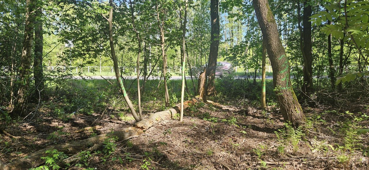 Działka rolno-budowlana Mościska, ul. Radziejowicka. Zdjęcie 2