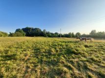 dom wolnostojący, 1 pokój Grabowno Małe. Zdjęcie 2