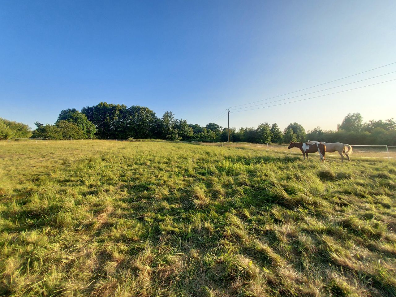 dom wolnostojący, 1 pokój Grabowno Małe. Zdjęcie 3