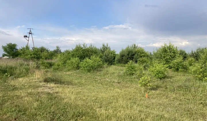 Działka budowlana Dziektarzew