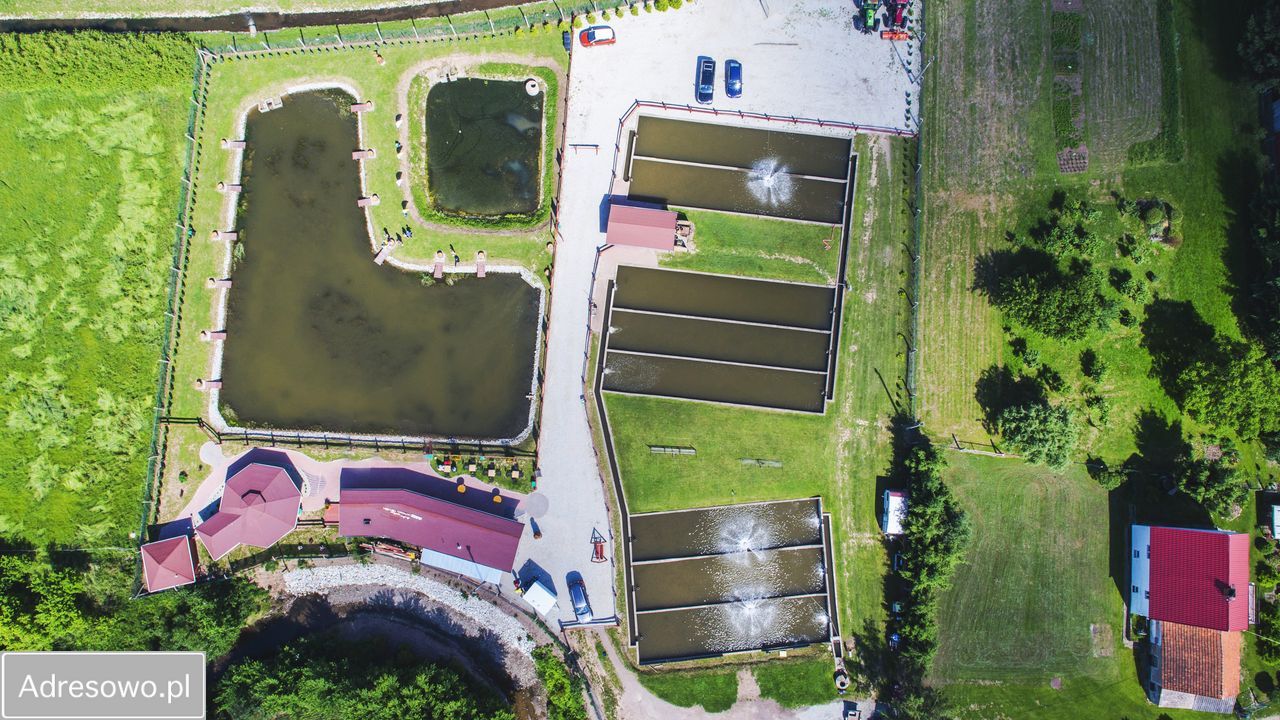 Działka rekreacyjna Bolkowice. Zdjęcie 5