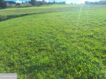 Działka budowlana Korzenna