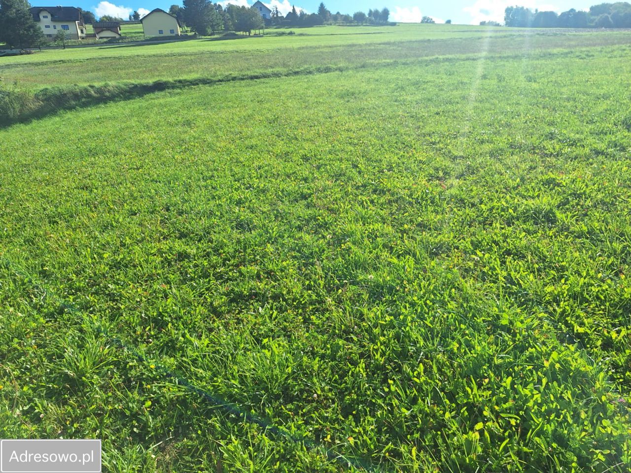 Działka budowlana Korzenna