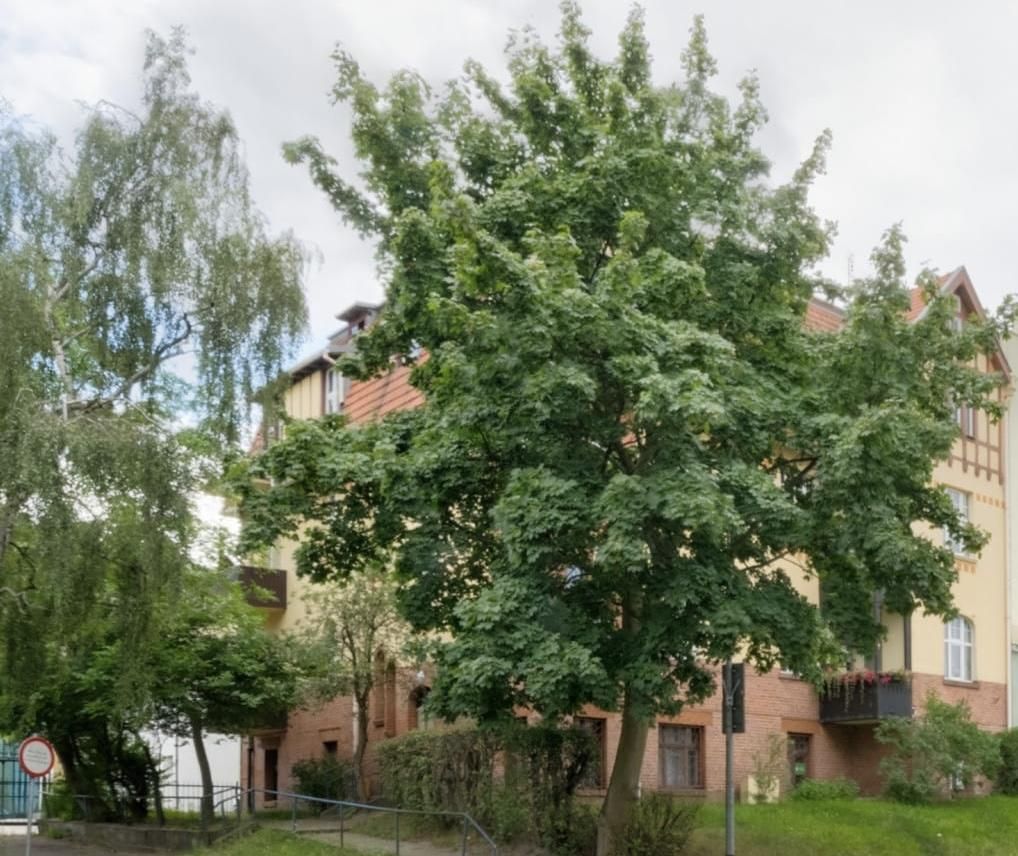 Mieszkanie 4-pokojowe Sopot Sopot Dolny, ul. 3 Maja. Zdjęcie 20