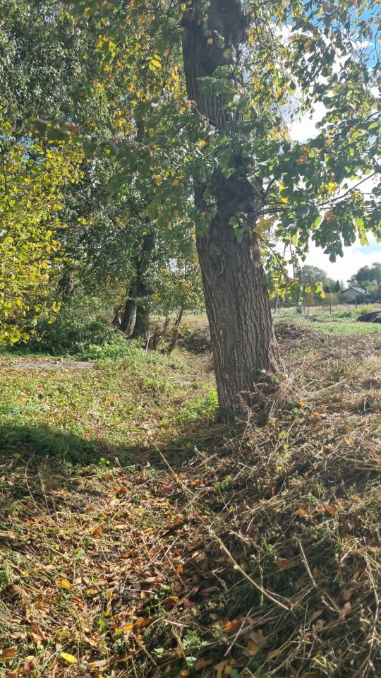 Działka rolno-budowlana Wiskitki, ul. Armii Krajowej. Zdjęcie 7