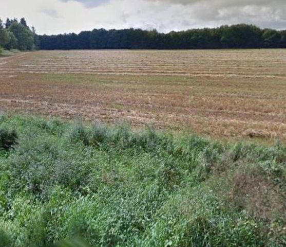 Działka rolna Malechowo, Święcianowo. Zdjęcie 4