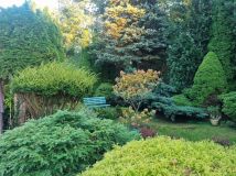 Działka rod Golub-Dobrzyń. Zdjęcie 3