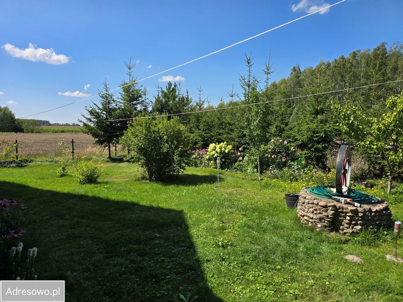 siedlisko, 3 pokoje Kuraszewo. Zdjęcie 12