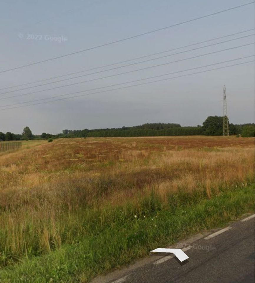 Działka budowlana Jędrzychów. Zdjęcie 1