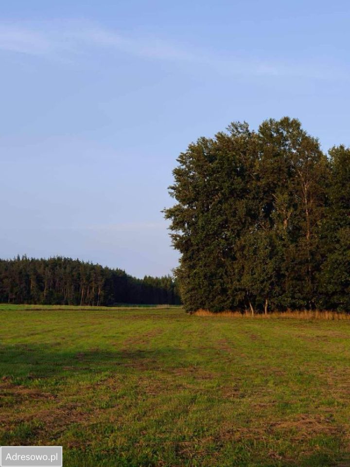 Działka budowlana Komorniki. Zdjęcie 3