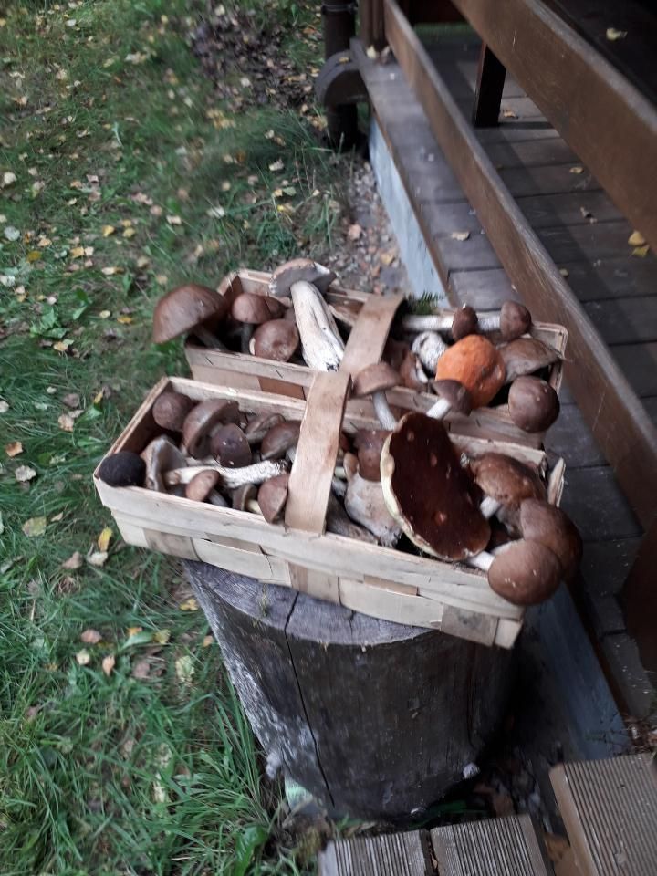 dom letniskowy Orzyny. Zdjęcie 8