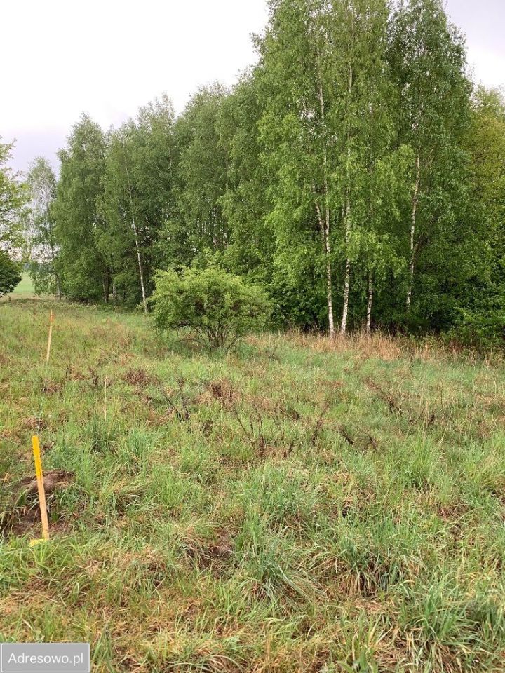 Działka budowlana Trzcianka. Zdjęcie 3