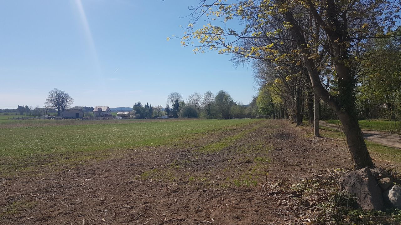 Działka rolna Dargikowo. Zdjęcie 9