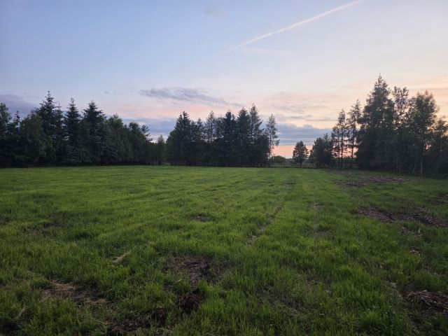 Działka budowlana Orłowice. Zdjęcie 1