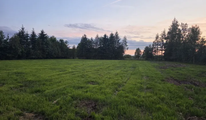 Działka budowlana Orłowice