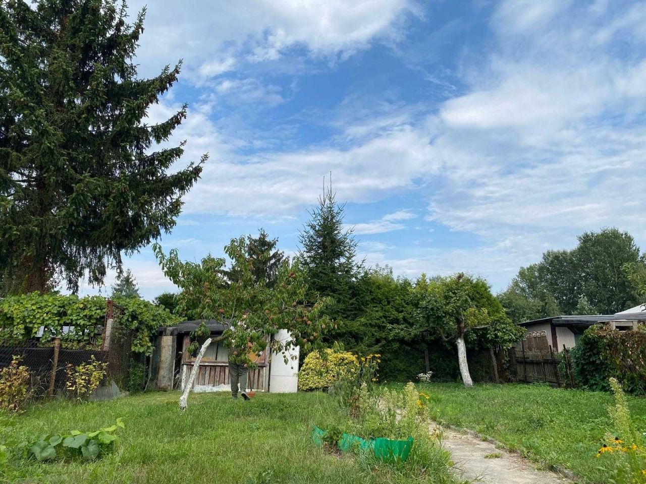 Działka rod Bydgoszcz, ul. Pielęgniarska. Zdjęcie 1