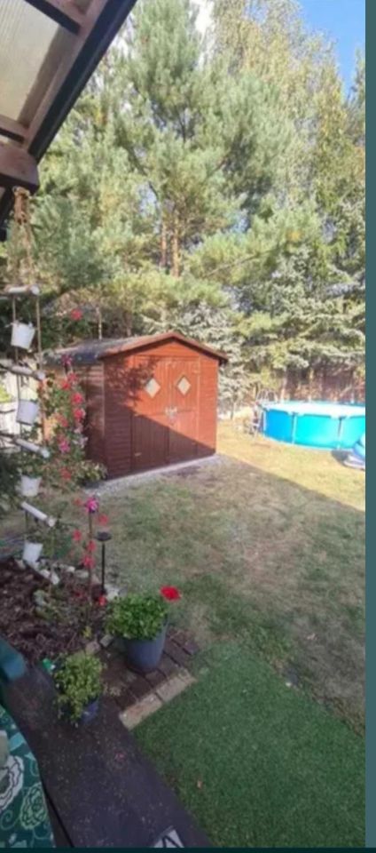 dom letniskowy, 3 pokoje Wójcin. Zdjęcie 10