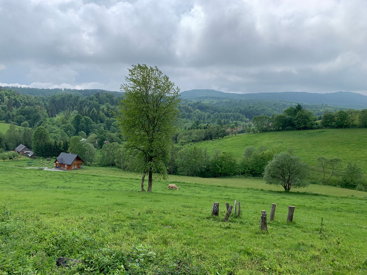 Działka budowlana Daszówka. Zdjęcie 4