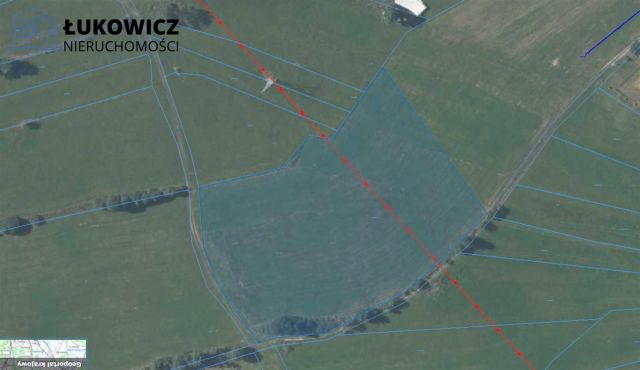 Działka leśna Pieniążkowice. Zdjęcie 6