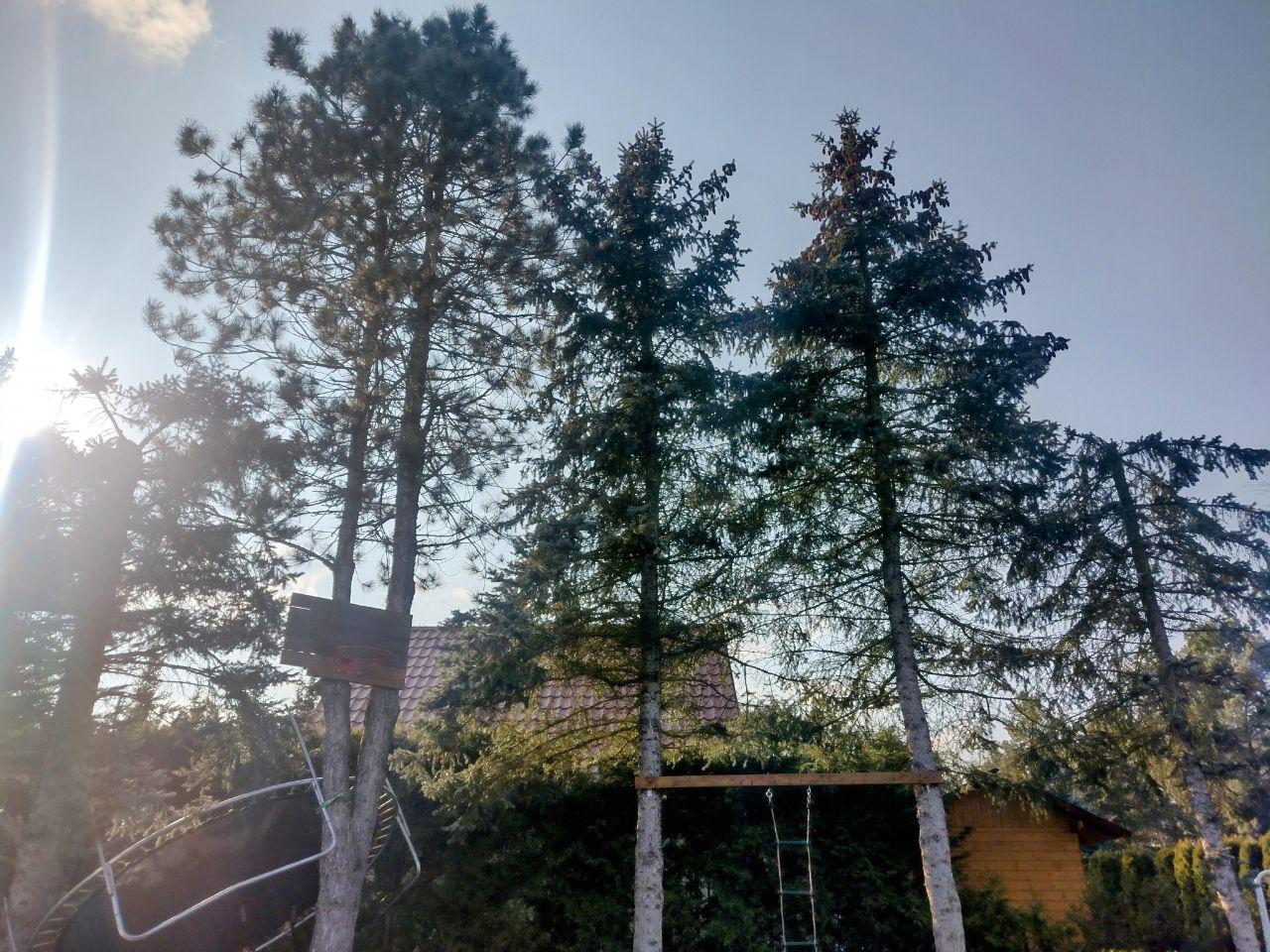 Działka rod Kamieńczyk, ul. Kukawska. Zdjęcie 11