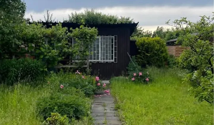 Działka rod Głogów, ul. Kwiatowa