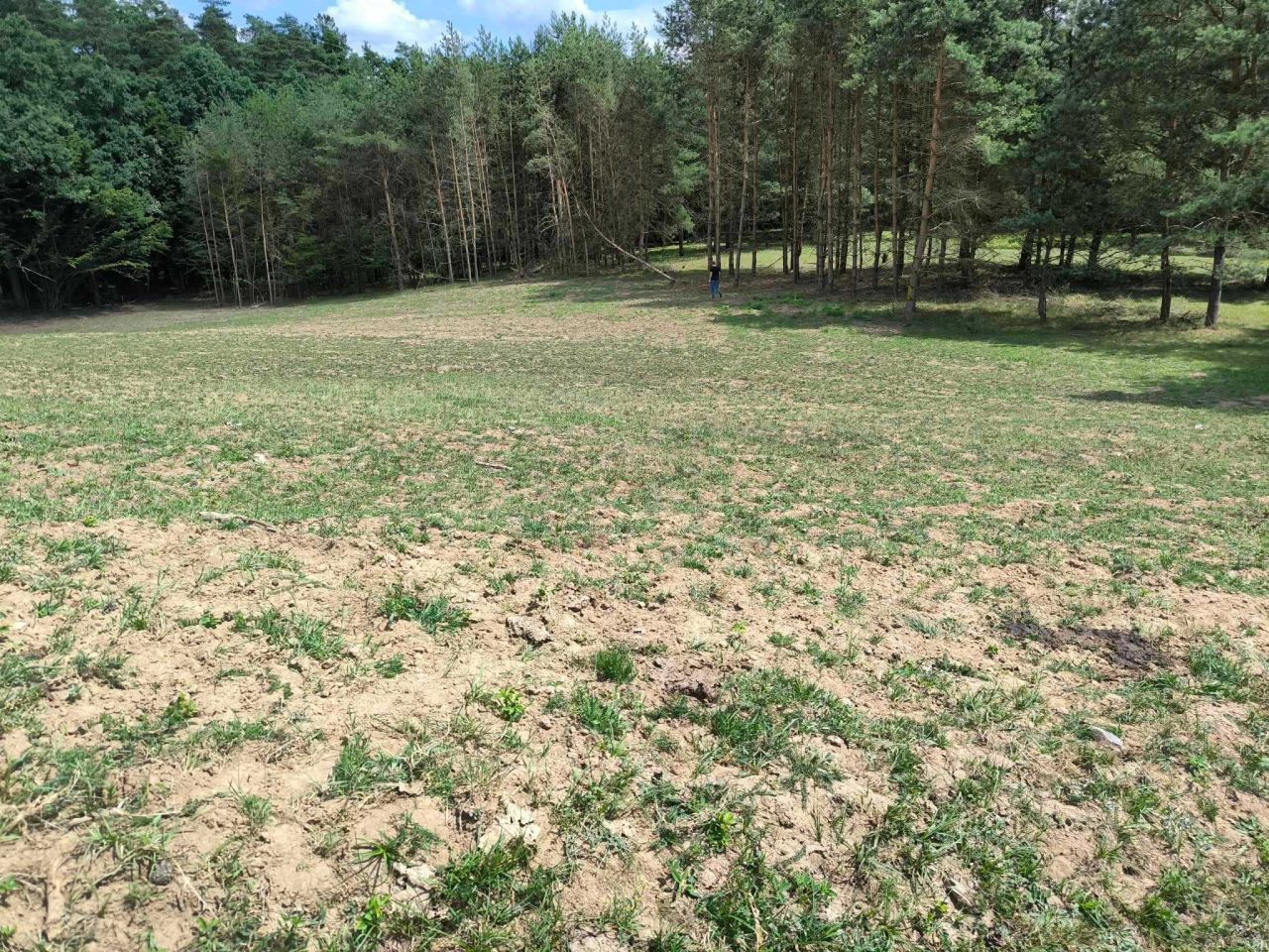 Działka rolno-budowlana Stawiguda. Zdjęcie 5
