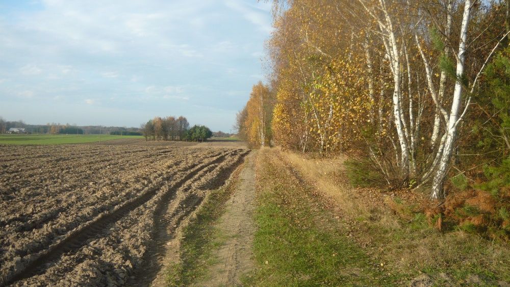 Działka rolno-budowlana Drochowo