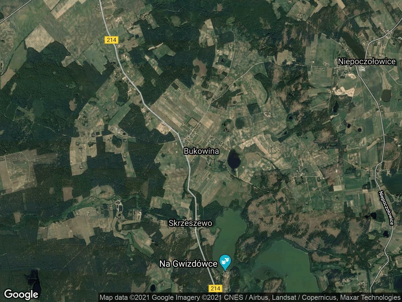 Działka siedliskowa Bukowina. Zdjęcie 2