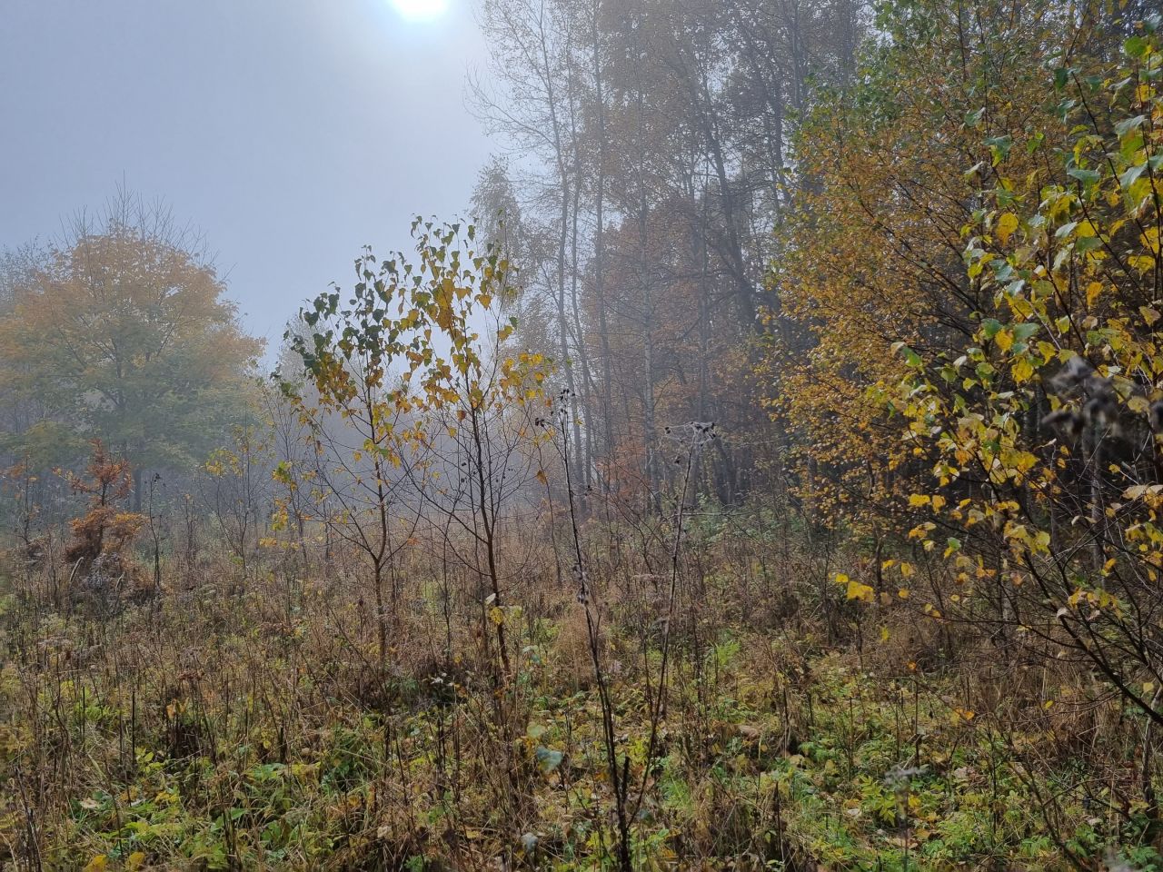 Działka budowlana Chocieszów