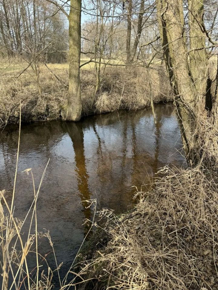 Działka rekreacyjna Świerzno. Zdjęcie 2