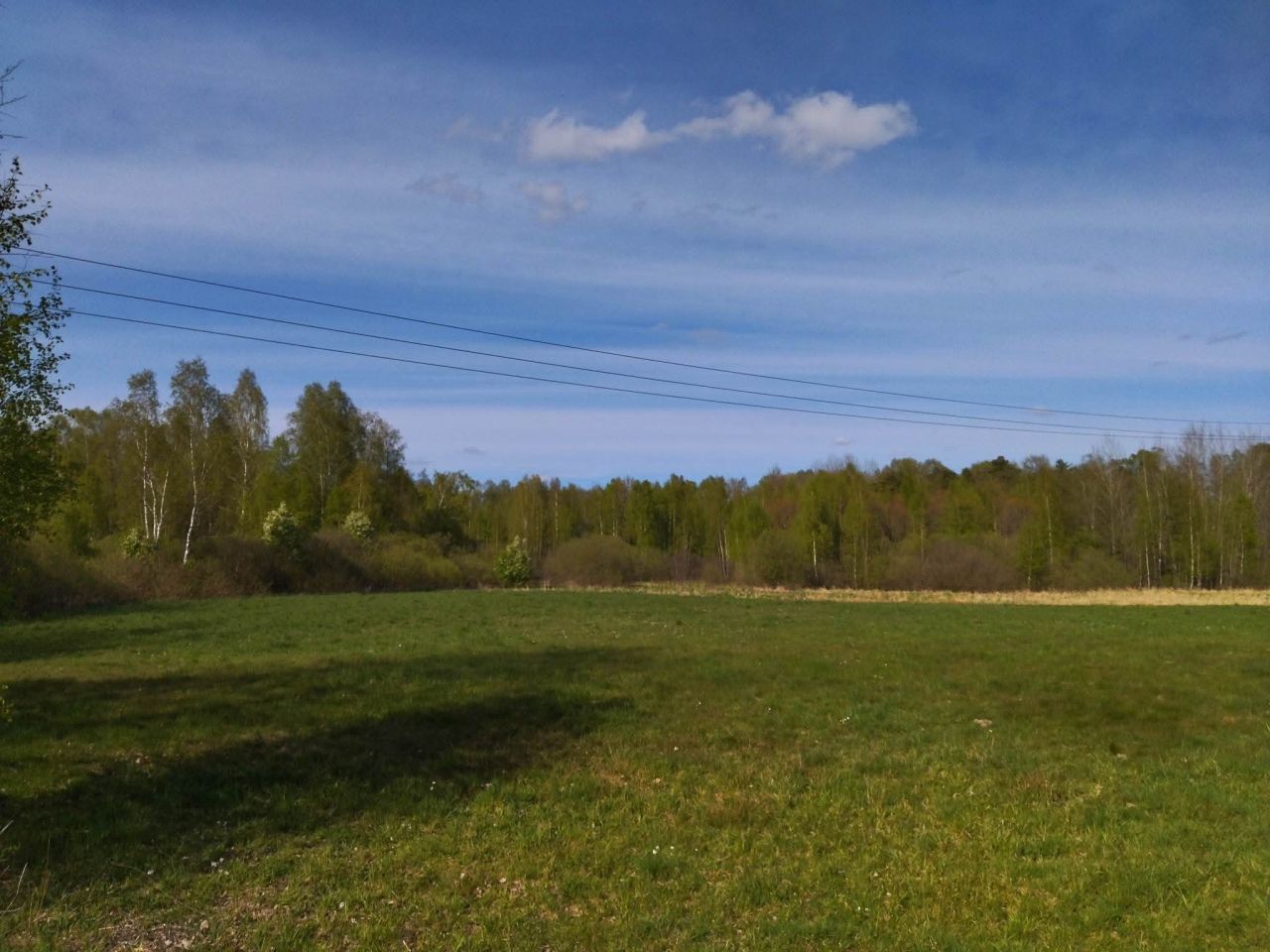 Działka budowlana Wielimowo. Zdjęcie 14